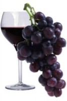 Vino
